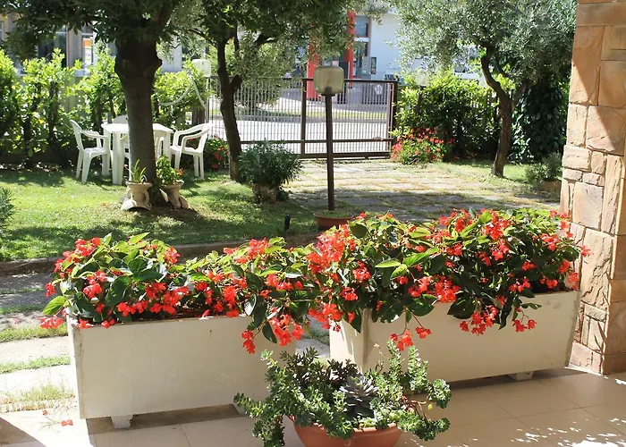 Angels * Canosa Sannita