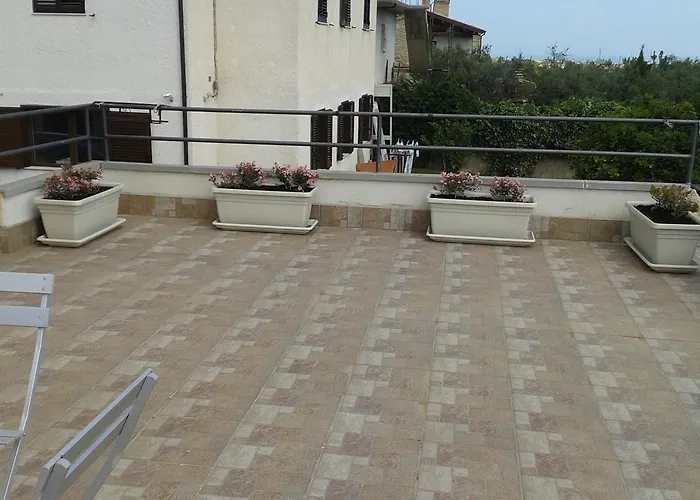 Angels * Canosa Sannita